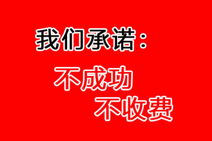 债务诉讼强制执行无资金偿还的应对策略